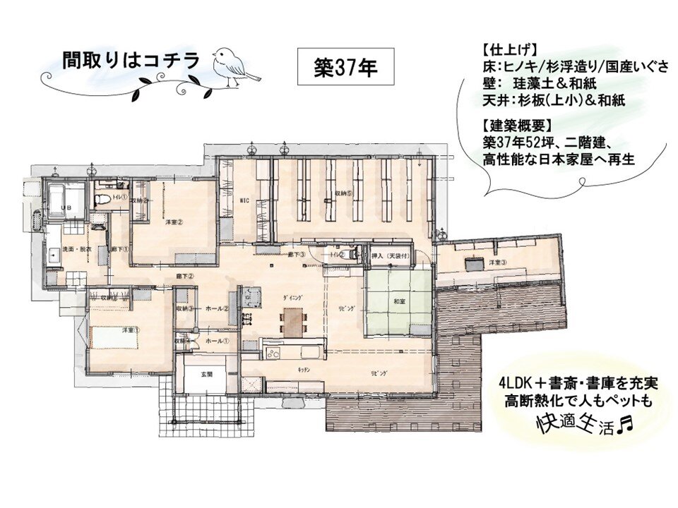 【ルームツアー】築37年の古家が減築リノベで自然と調和した広々“平屋”に変貌！#Shorts