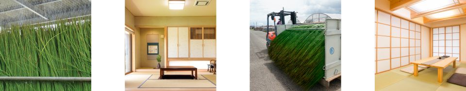 自然素材 福岡 熊本のリノベーション エコワークス株式会社 自然素材 福岡 熊本のリノベーション エコワークス株式会社